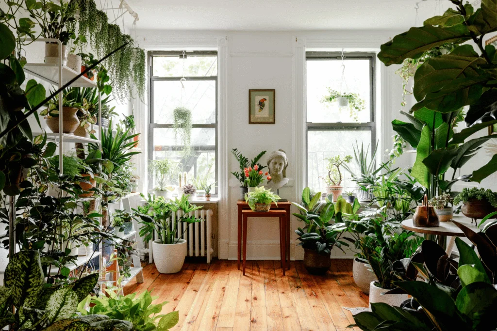 How to Create a Stunning Indoor Garden with Flowers & Houseplants